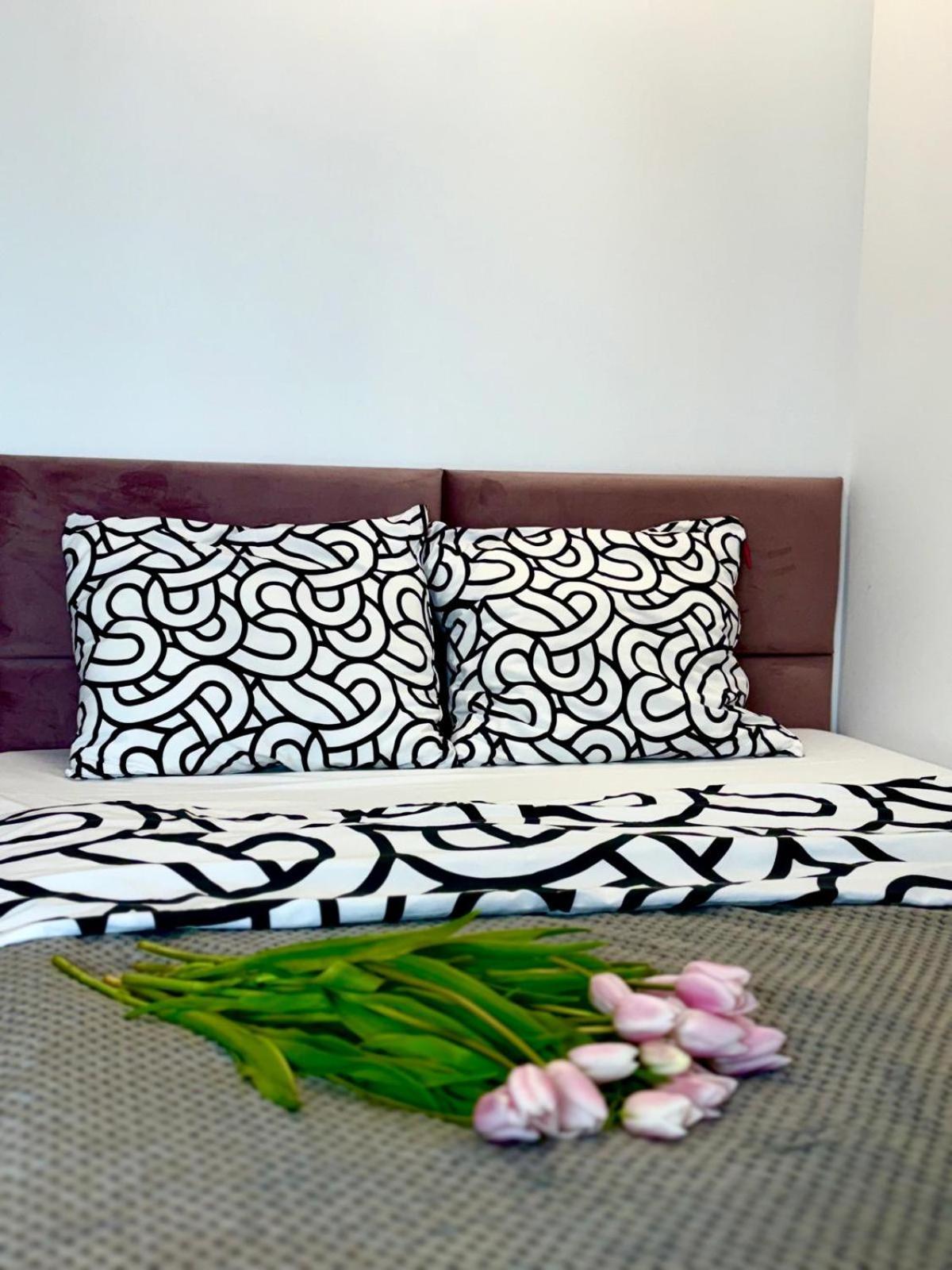 Parkcity Centrum Zabrska Apartment Katowice
